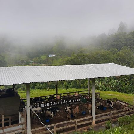 Sitio Hoffmann Hotel Pomerode Bagian luar foto